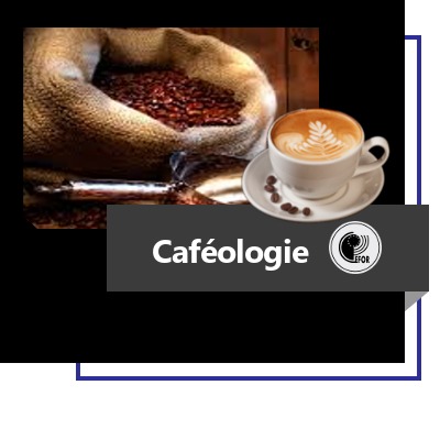 CafÃ©ologie